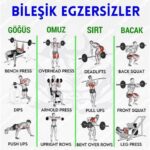 En Etkili Spor Hareketleri ve Antrenman Programları