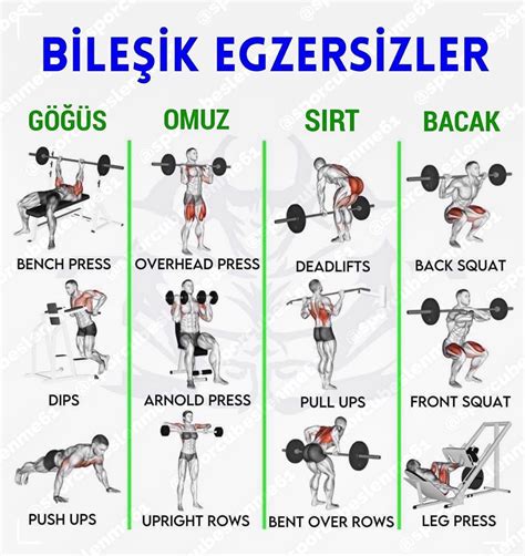 En Etkili Spor Hareketleri ve Antrenman Programları